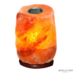 LaVida Massage and Skincare, Skin Care, Himalayan Salt Stone, Himalayan Salt Lamp, Himalayan Mini Salt Lamp with Aromatherapy Cup